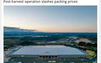 Post-harvest operation slashes packing prices
